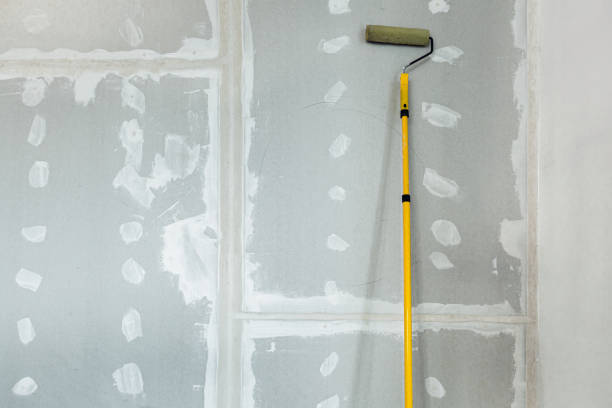 Mold Odor Removal Services in Jamestown, ND